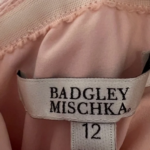 Neiman Marcus Badgley Mischka Blush Pink Strapless Gown w Organza Sheer Overlay - Picture 4 of 9